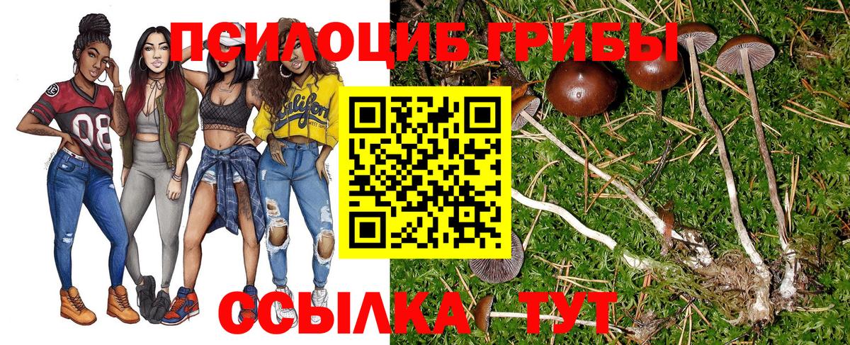 Елизово  Галлюциногенные грибы MAGIC MUSHROOMS  Вход с VPN  Псилоцибиновые грибы ЛСД 